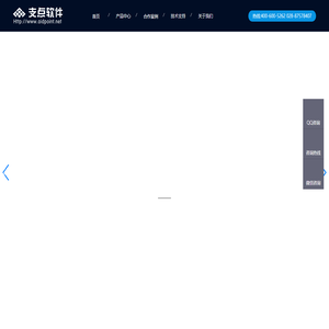 成都支点软件有限公司